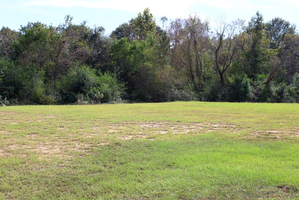 1575 Georgia Highway 37 West, Moultrie, Georgia 31768, ,Commercial,For Sale,Georgia Highway 37 West,915741