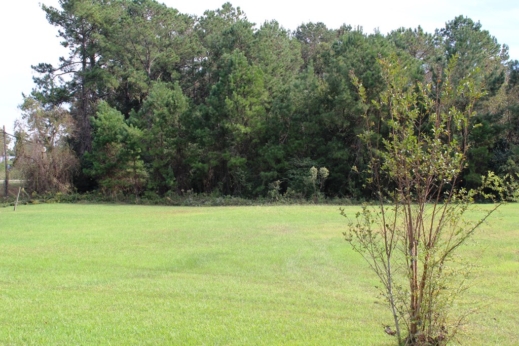 1575 Georgia Highway 37 West, Moultrie, Georgia 31768, ,Commercial,For Sale,Georgia Highway 37 West,915741