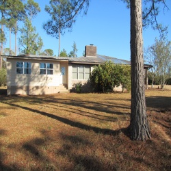 1134 GA-202, Meigs, Georgia 31765, 4 Bedrooms Bedrooms, 7 Rooms Rooms,2.5 BathroomsBathrooms,Single Family,For Rent,GA-202,915780