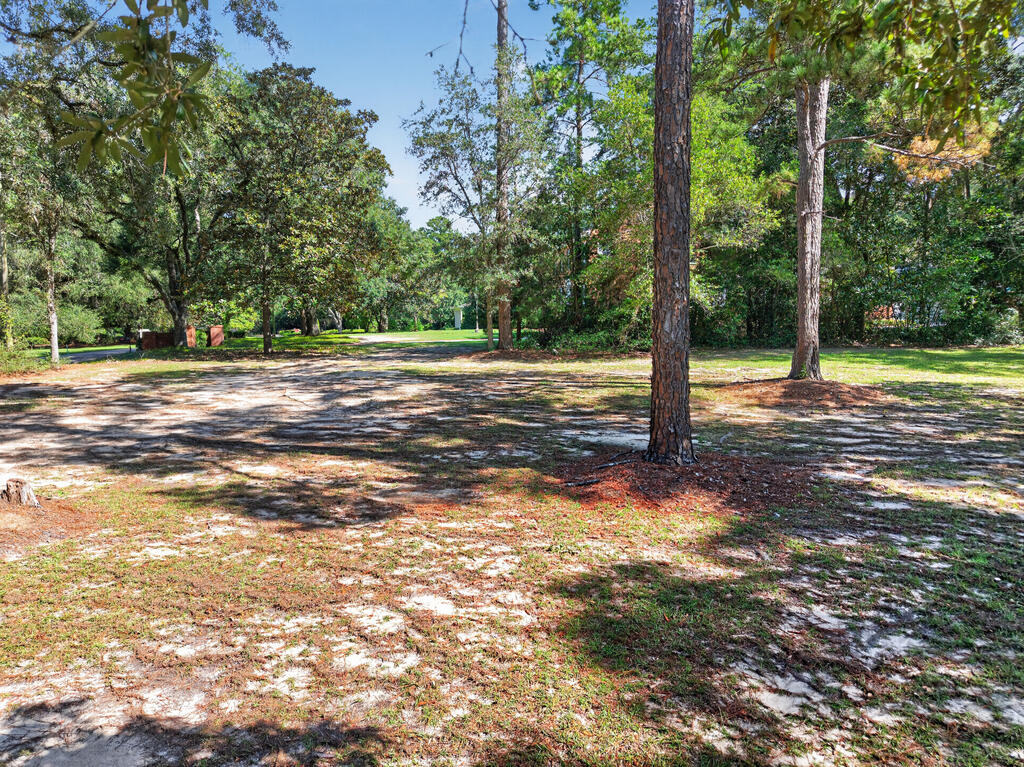 20 Oak Lane, Moultrie, Georgia 31768, 4 Bedrooms Bedrooms, ,4 BathroomsBathrooms,Single Family,For Sale,Oak Lane,915952 20 Oak Lane, Moultrie, Georgia 31768, 4 Bedrooms Bedrooms, ,4 BathroomsBathrooms,Single Family,For Sale,Oak Lane,915952