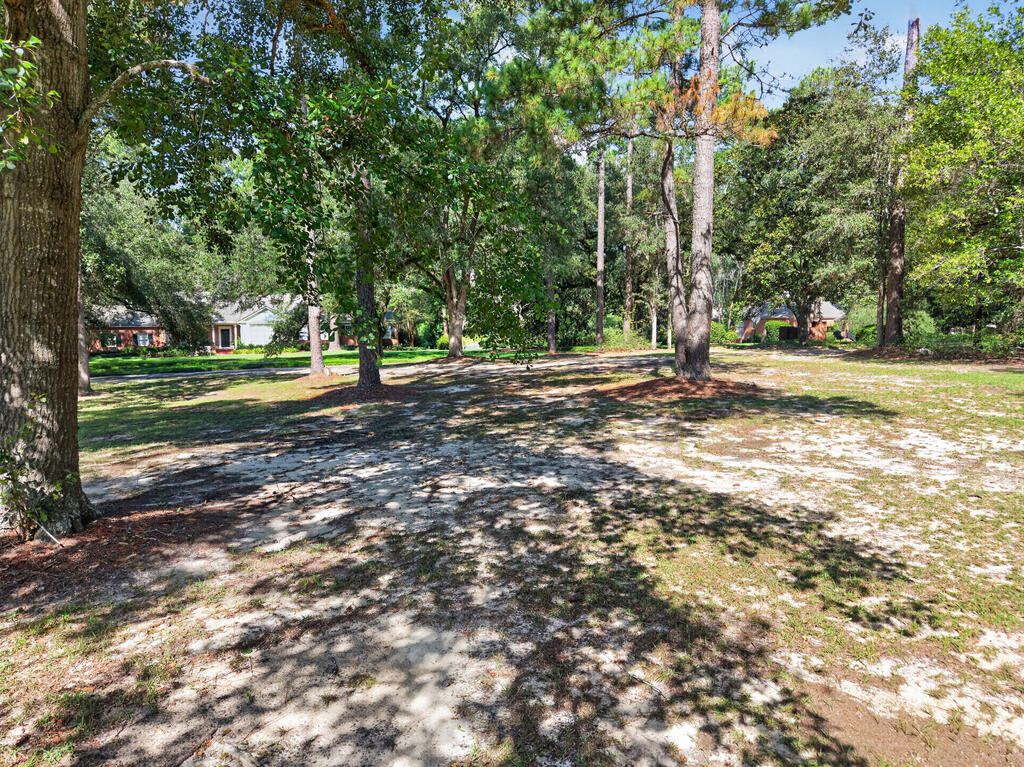20 Oak Lane, Moultrie, Georgia 31768, 4 Bedrooms Bedrooms, ,4 BathroomsBathrooms,Single Family,For Sale,Oak Lane,915952 20 Oak Lane, Moultrie, Georgia 31768, 4 Bedrooms Bedrooms, ,4 BathroomsBathrooms,Single Family,For Sale,Oak Lane,915952