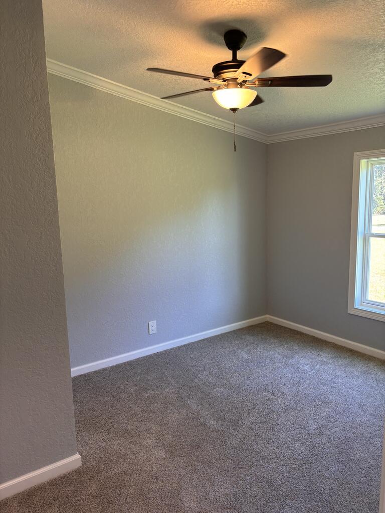 381 Yogi Bear Road, Norman Park, Georgia 31771, 3 Bedrooms Bedrooms, ,2 BathroomsBathrooms,Mobile home,For Sale,Yogi Bear Road,915981