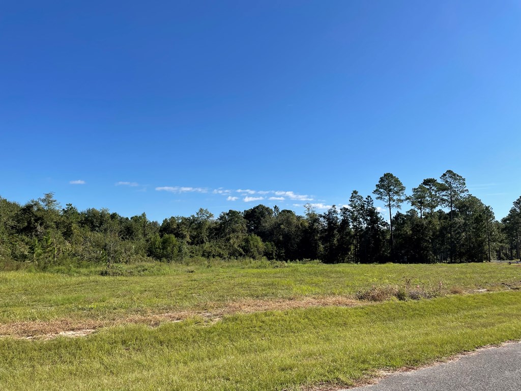 0 STAR CIRCLE, Norman Park, Georgia 31771, ,Residential lot,For Sale,STAR CIRCLE,911306