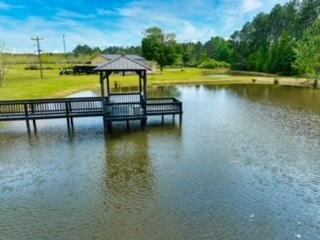 210 Arrowhead Drive, Moultrie, Georgia 31768, 3 Bedrooms Bedrooms, ,3 BathroomsBathrooms,Single Family,For Sale,Arrowhead Drive,912715