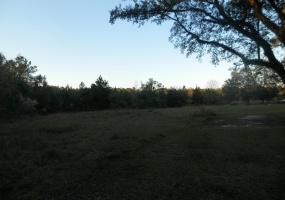 Lot 34 Riggins Road, Moultrie, Georgia 31788, ,Acreage,For Sale,Riggins Road,912772