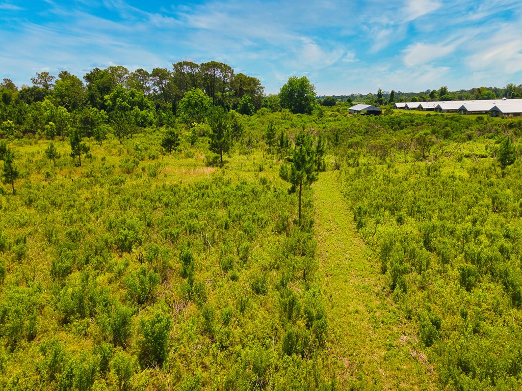 0 George Flowers, Norman Park, Georgia 31771, ,Farm (20 Or More Acres) - Land,For Sale,George Flowers,912810