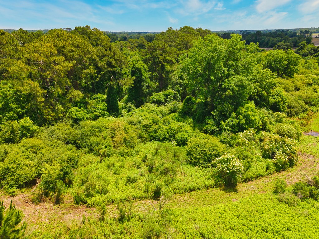 0 George Flowers, Norman Park, Georgia 31771, ,Farm (20 Or More Acres) - Land,For Sale,George Flowers,912810