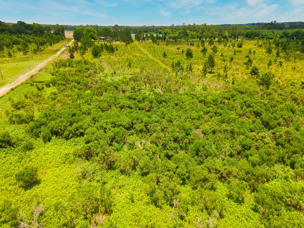 0 George Flowers, Norman Park, Georgia 31771, ,Farm (20 Or More Acres) - Land,For Sale,George Flowers,912810