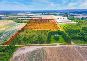 0 George Flowers, Norman Park, Georgia 31771, ,Farm (20 Or More Acres) - Land,For Sale,George Flowers,912810