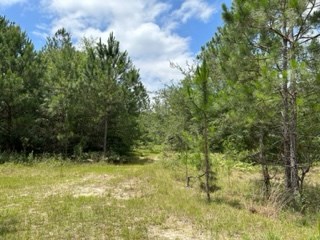 Lot 36 Veteran's Parkway, Moultrie, Georgia 31788, ,Residential lot,For Sale,Veteran's Parkway,912921