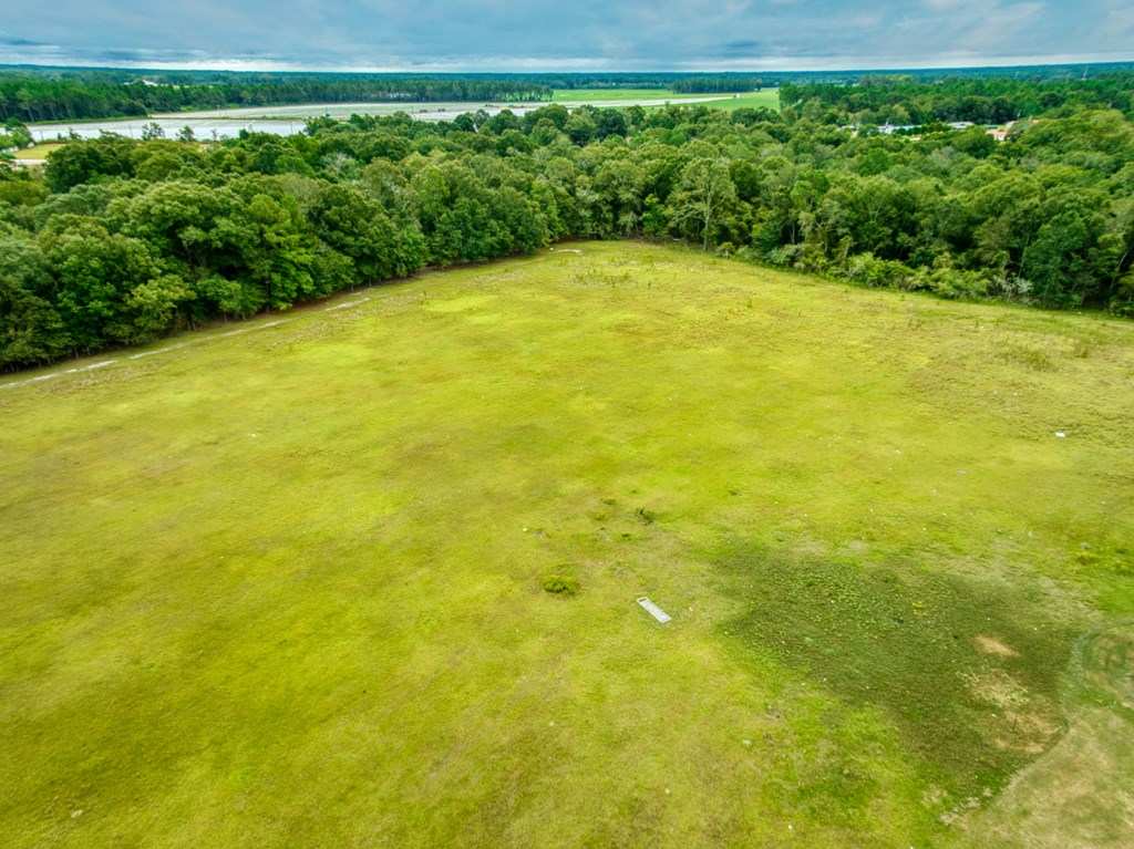 0 Mark Orton Lane, Moultrie, Georgia 31771, ,Acreage,For Sale,Mark Orton Lane,912925