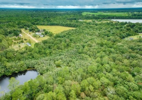 0 Mark Orton Lane, Moultrie, Georgia 31771, ,Acreage,For Sale,Mark Orton Lane,912925