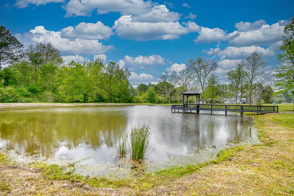 210 Arrowhead Drive, Moultrie, Georgia 31768, 3 Bedrooms Bedrooms, ,2 BathroomsBathrooms,Single Family,For Sale,Arrowhead Drive,912928