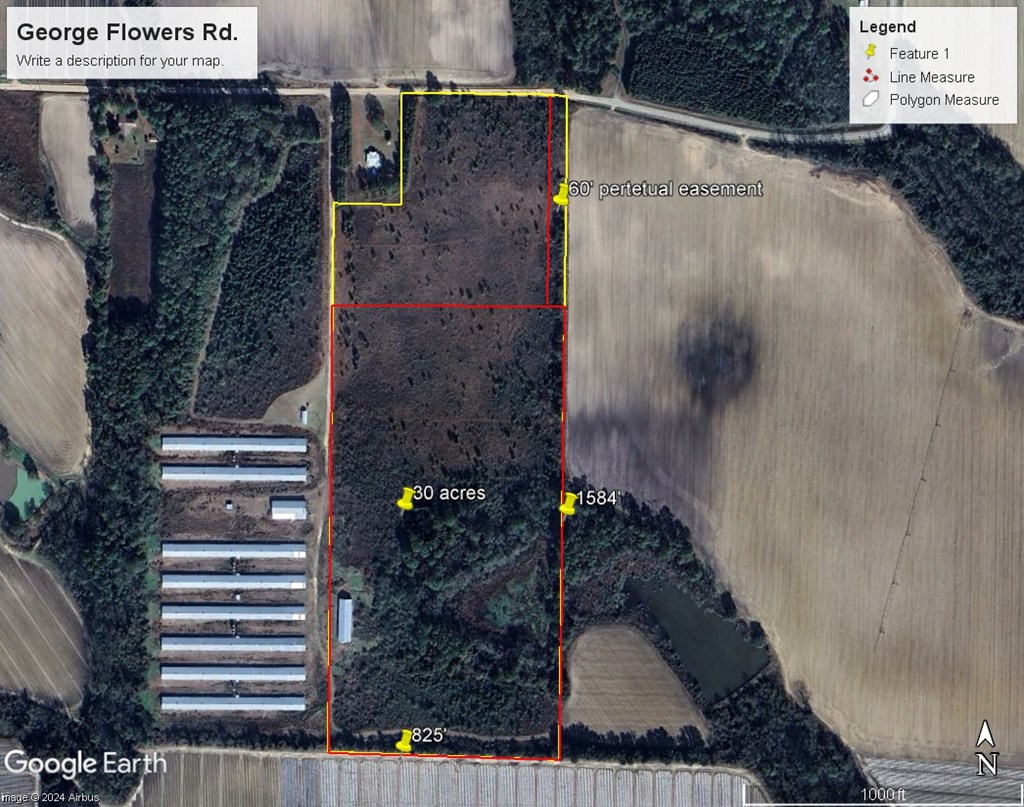 0 George Flowers, Norman Park, Georgia 31771, ,Farm (20 Or More Acres) - Land,For Sale,George Flowers,912987