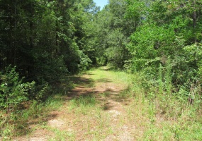 00 McGinty Rd, Moultrie, Georgia 31768, ,Residential lot,For Sale,McGinty Rd,913074