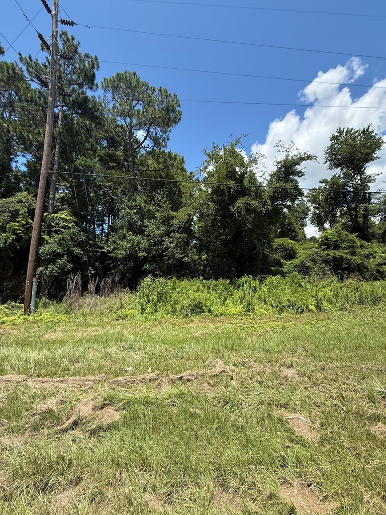 0 GA Hwy 82, Sylvester, Georgia 31791, ,Residential lot,For Sale,GA Hwy 82,913273