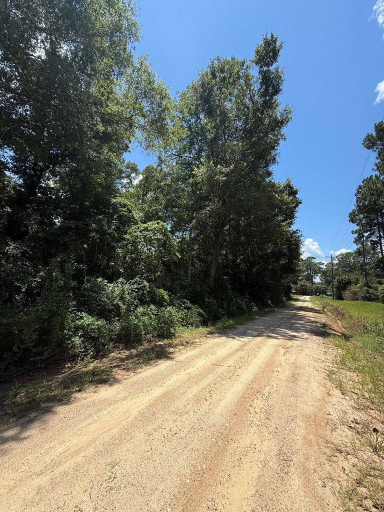 0 GA Hwy 82, Sylvester, Georgia 31791, ,Residential lot,For Sale,GA Hwy 82,913273