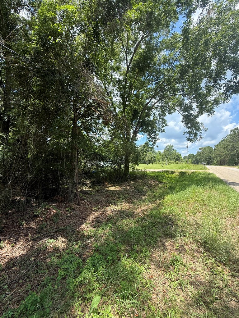 0 GA Hwy 82, Sylvester, Georgia 31791, ,Residential lot,For Sale,GA Hwy 82,913273