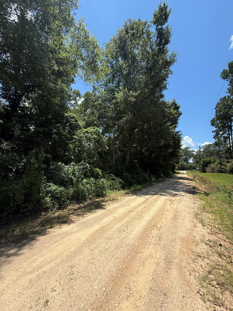 0 GA Hwy 82, Sylvester, Georgia 31791, ,Residential lot,For Sale,GA Hwy 82,913408