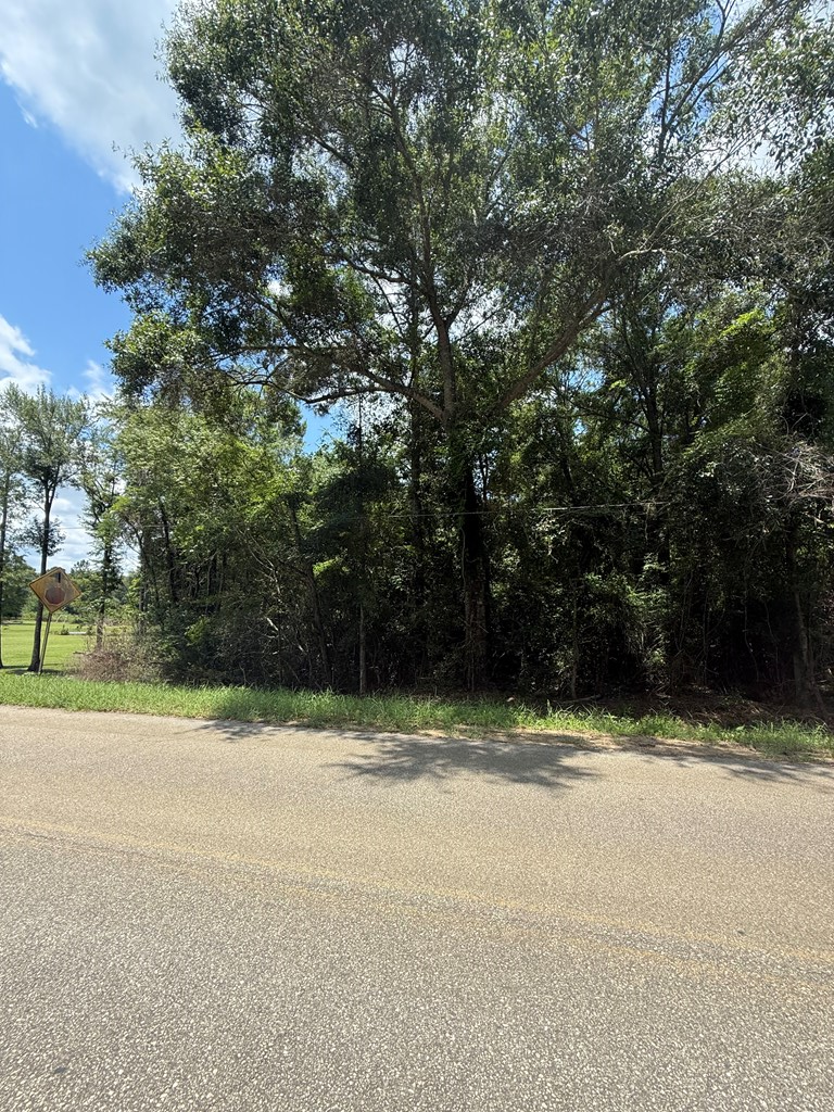 0 Sleepy Bear Road, Norman Park, Georgia 31771, ,Residential lot,For Sale,Sleepy Bear Road,913407