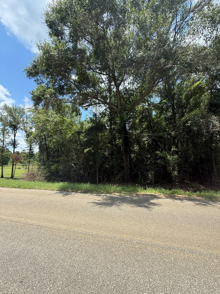 0 Sleepy Bear Road, Norman Park, Georgia 31771, ,Residential lot,For Sale,Sleepy Bear Road,913407