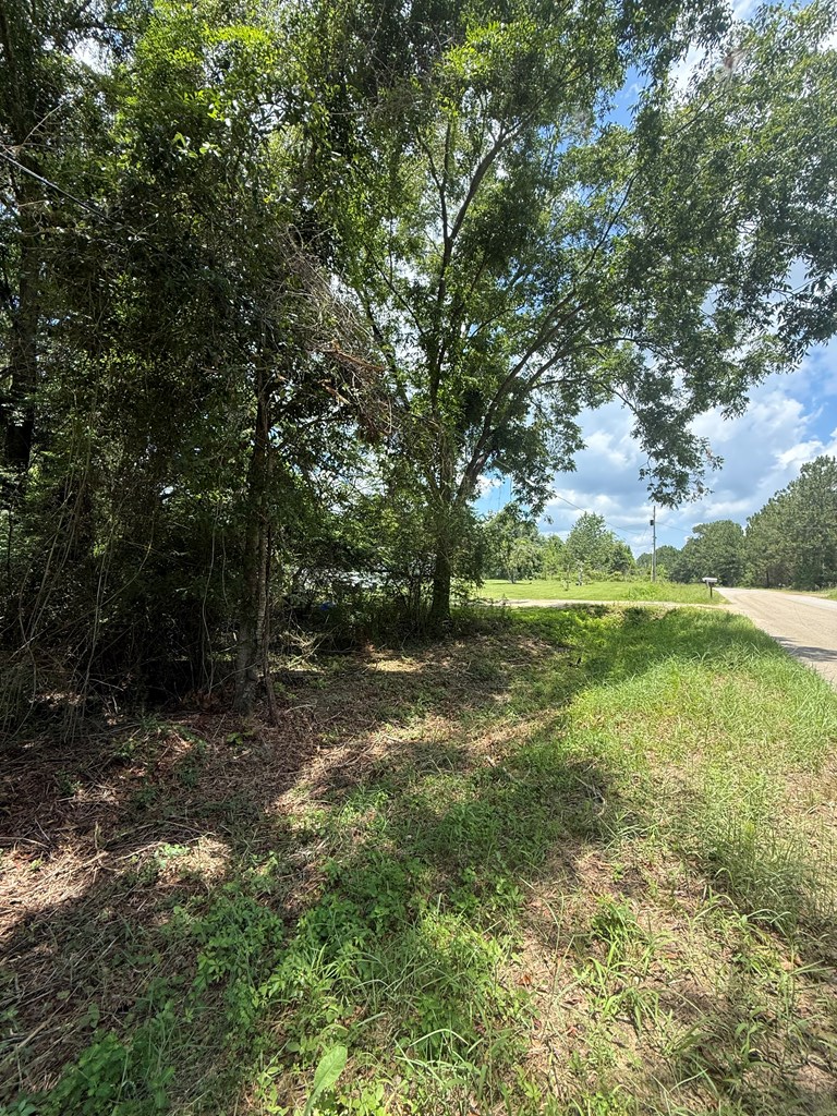 0 Sleepy Bear Road, Norman Park, Georgia 31771, ,Residential lot,For Sale,Sleepy Bear Road,913407