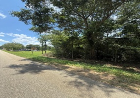 0 Sleepy Bear Road, Norman Park, Georgia 31771, ,Residential lot,For Sale,Sleepy Bear Road,913407