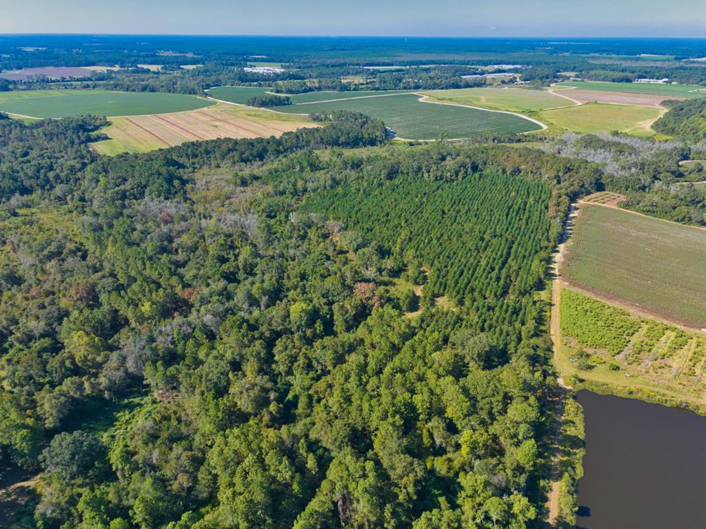 0 Georgia Highway 33 South, Moultrie, Georgia 31788, ,Acreage,For Sale,Georgia Highway 33 South,913496 0 Georgia Highway 33 South, Moultrie, Georgia 31788, ,Acreage,For Sale,Georgia Highway 33 South,913496