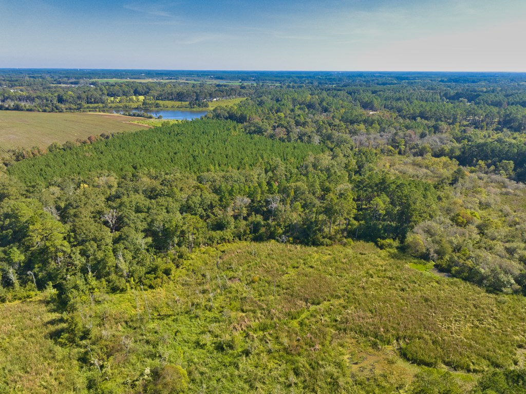 0 Georgia Highway 33 South, Moultrie, Georgia 31788, ,Acreage,For Sale,Georgia Highway 33 South,913496