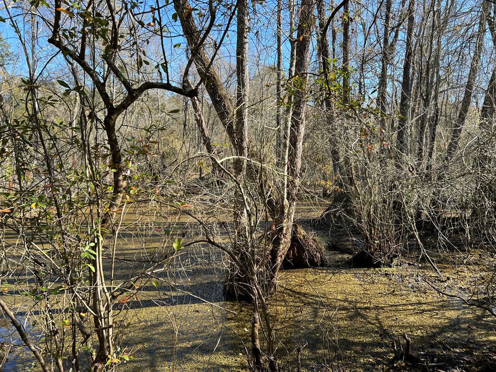 0 Georgia Highway 33 South, Moultrie, Georgia 31788, ,Acreage,For Sale,Georgia Highway 33 South,913496
