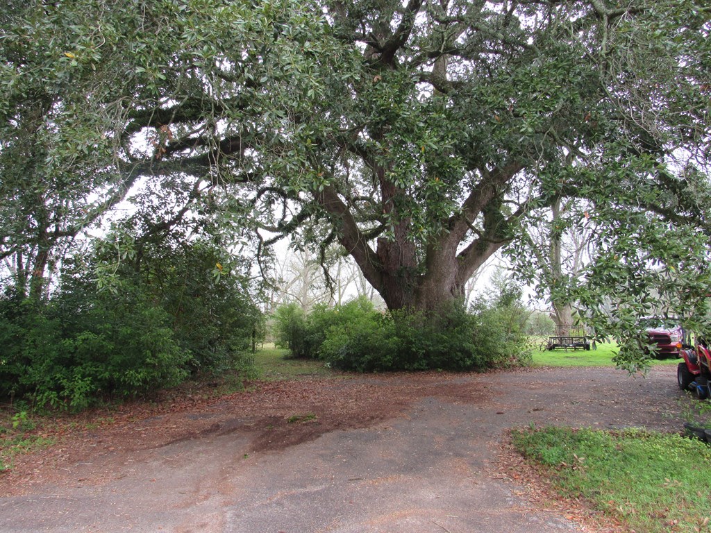 581 Harris ST, Pavo, Georgia 31778, 3 Bedrooms Bedrooms, ,2 BathroomsBathrooms,Single Family,For Sale,Harris ST,913560