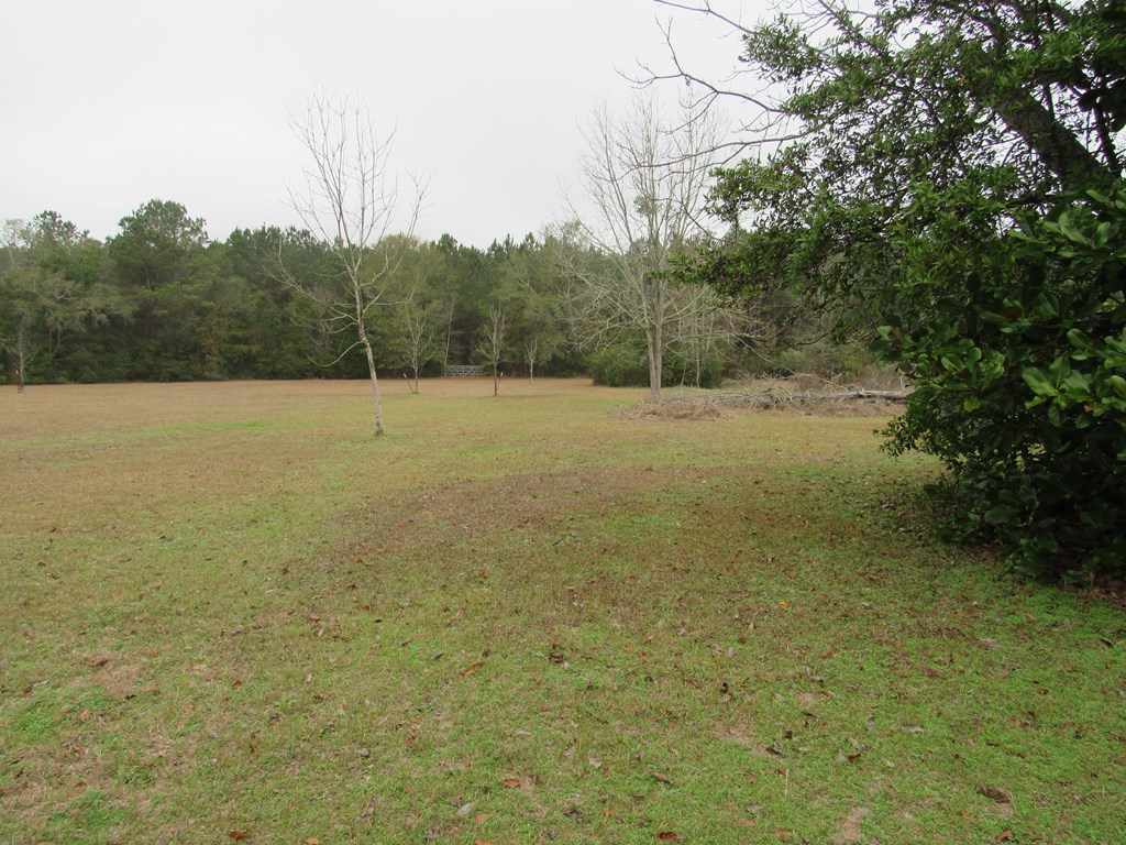 581 Harris ST, Pavo, Georgia 31778, 3 Bedrooms Bedrooms, ,2 BathroomsBathrooms,Single Family,For Sale,Harris ST,913560