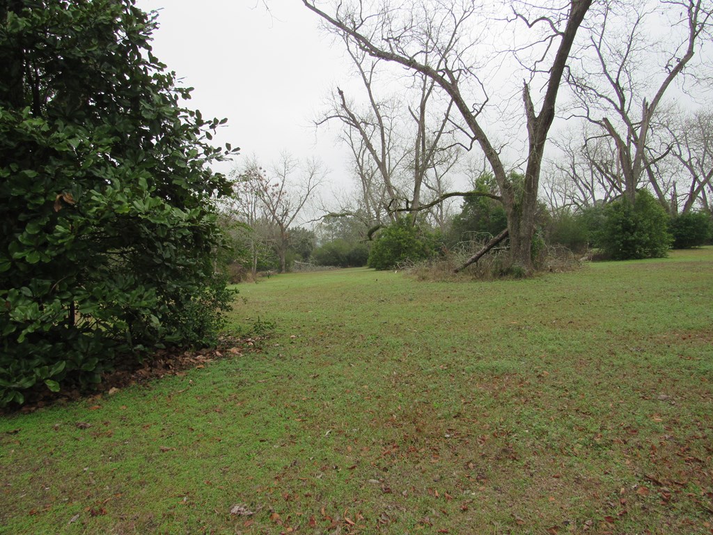 581 Harris ST, Pavo, Georgia 31778, 3 Bedrooms Bedrooms, ,2 BathroomsBathrooms,Single Family,For Sale,Harris ST,913560