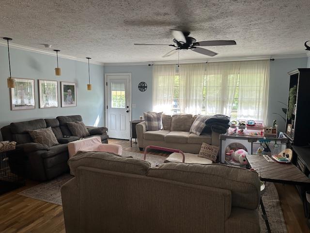 1821 3RD Street SE, Moultrie, Georgia 31768, 3 Bedrooms Bedrooms, ,2 BathroomsBathrooms,Single Family,For Sale,3RD Street SE,915642 1821 3RD Street SE, Moultrie, Georgia 31768, 3 Bedrooms Bedrooms, ,2 BathroomsBathrooms,Single Family,For Sale,3RD Street SE,915642