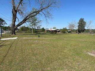 3871 US Hwy. 319 North, Norman Park, Georgia 31771, 2 Bedrooms Bedrooms, ,1 BathroomBathrooms,Single Family,For Sale,US Hwy. 319 North,915674